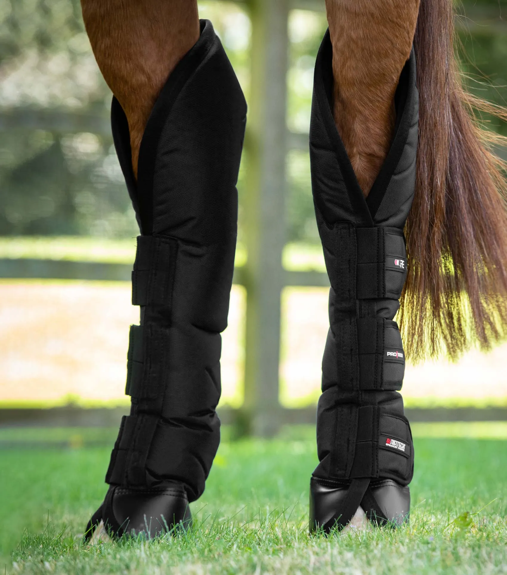 Ballistic Knee Pro-Tech Horse Travel Boots Black