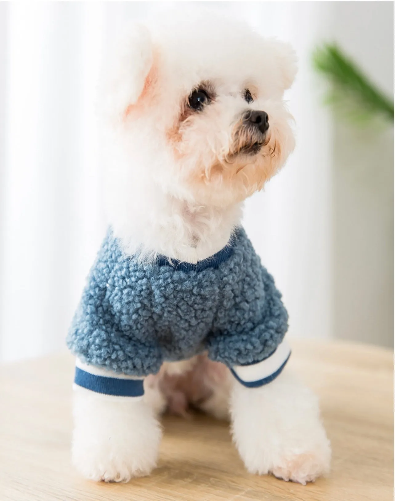 Light Warm Fleece Dog Winter Cloth_ Blue Daisy