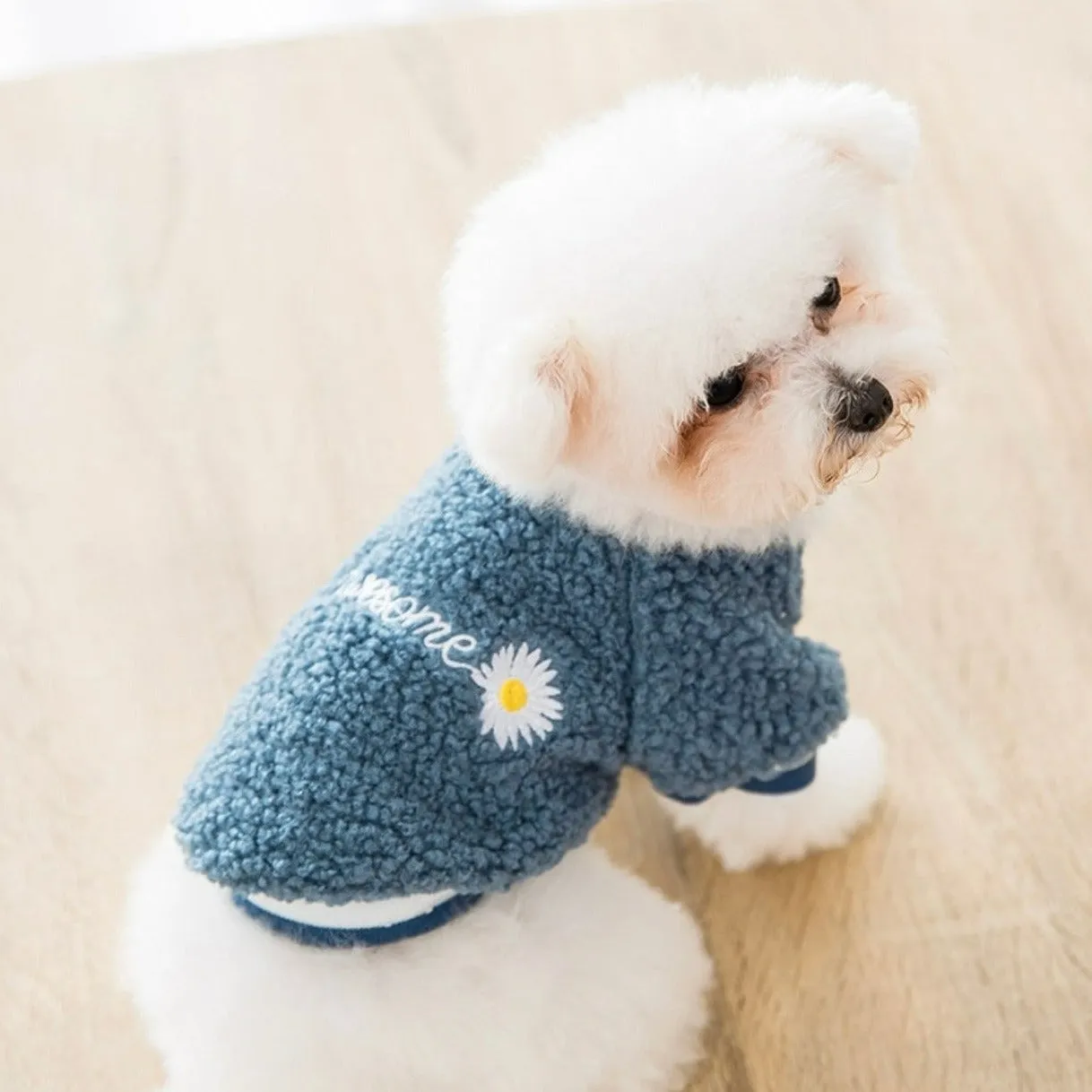 Light Warm Fleece Dog Winter Cloth_ Blue Daisy