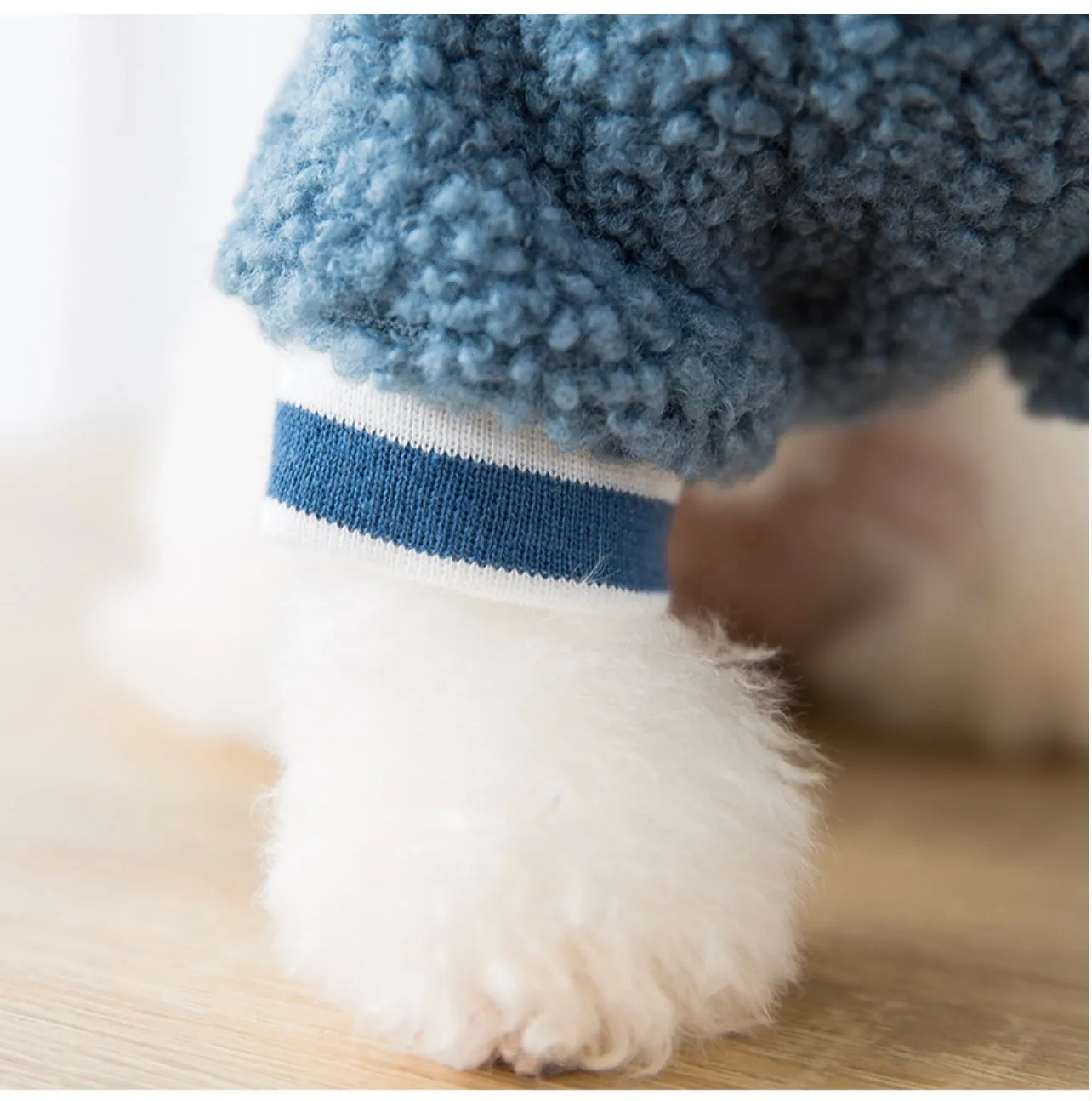 Light Warm Fleece Dog Winter Cloth_ Blue Daisy