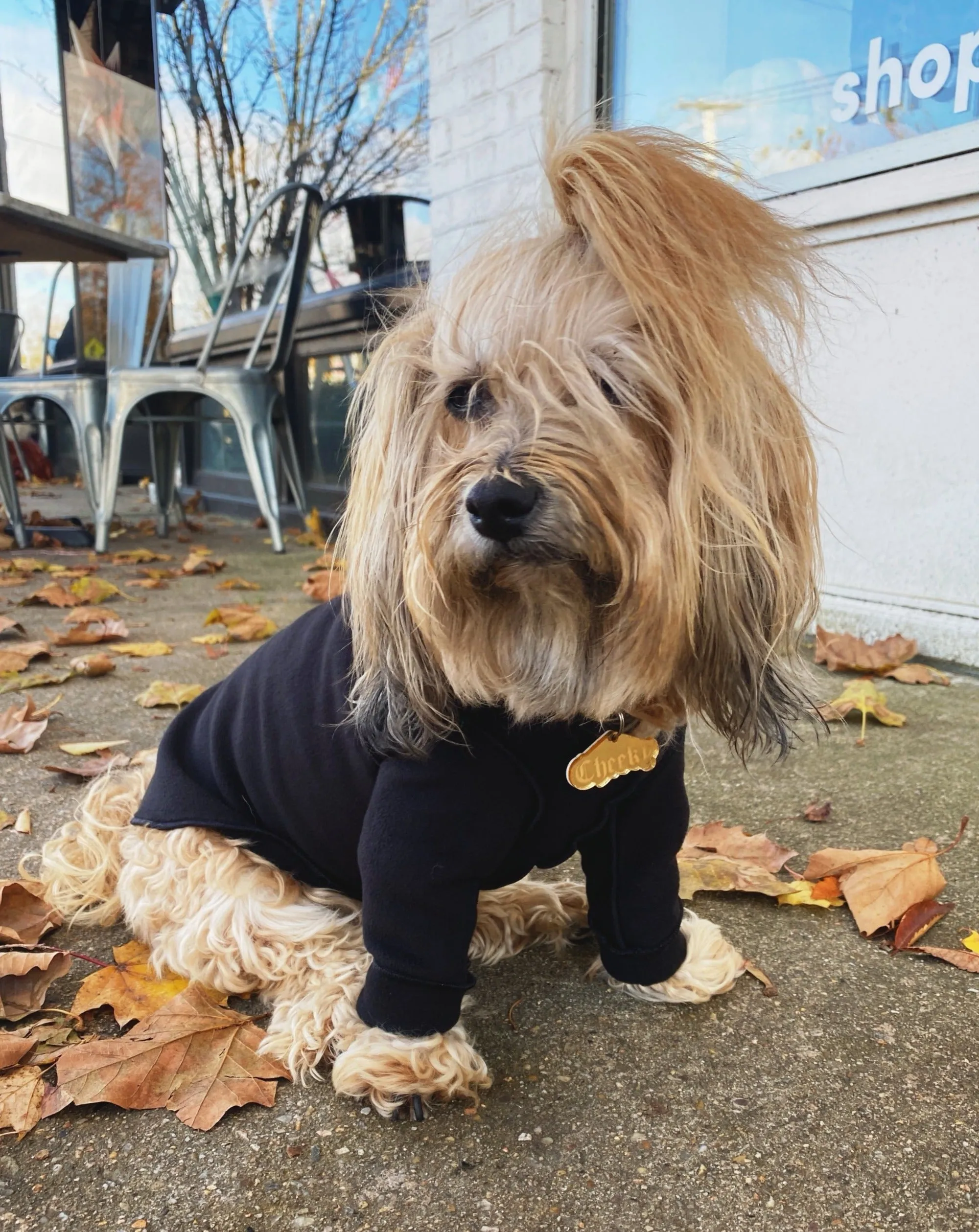 Long-Sleeve Pullover Stretch Dog Fleece in Black (Made in the USA, Dog & Co. Exclusive!)